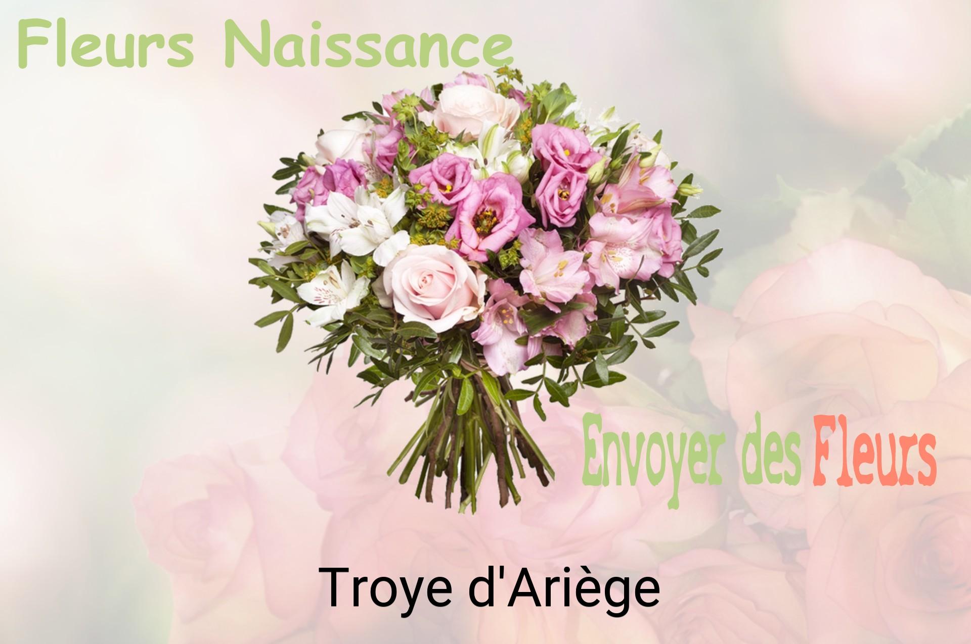 Bouquet de fleurs de naissance livré à Troye-d'Ariège